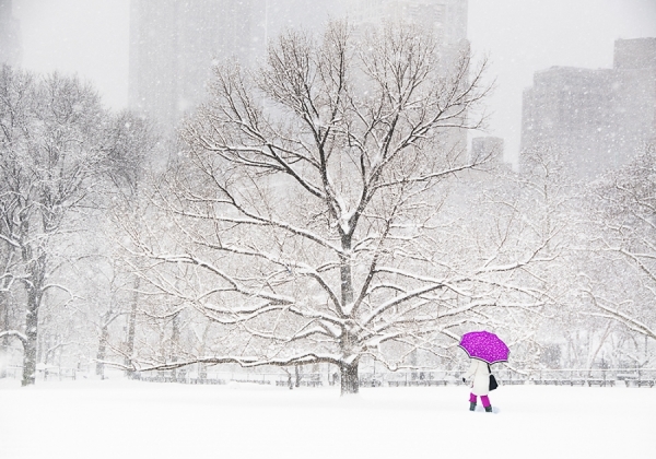 Photograph Mitchell Funk Umbrella In The Snow on One Eyeland